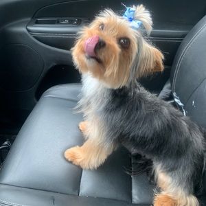 Meet your Posher, Sharelle